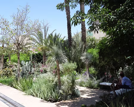 DSC06188 Marrakech: visite du jardin secret