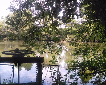 09 Étang du Vivier.