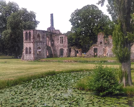 11 Château du Vivier, ruines.