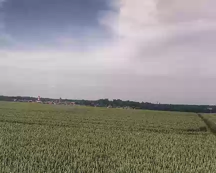 23 Chaumes-en-Brie dans les champs de blé.