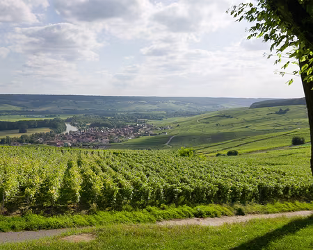 2018_06_16-18_27_02 Joli coin de pique-nique aménagé au nord d'Épernay