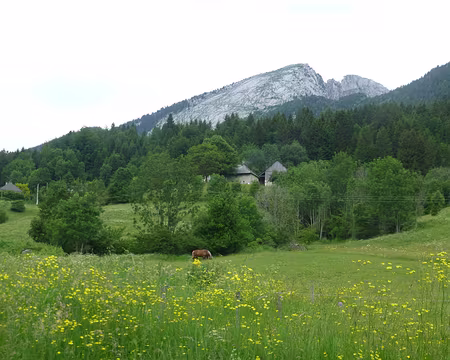 P1260363 Dimanche : direction le Charmant Som