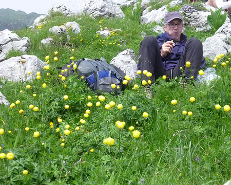 P1260382 Pique nique au milieu des trolles
