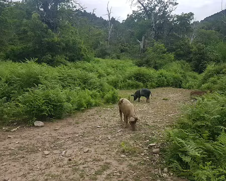 20180611_102307