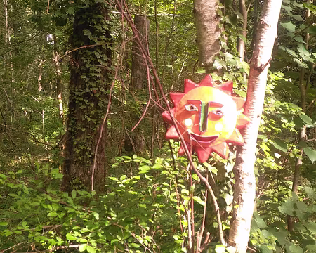 P_20180624_102744-01 Le soleil est avec nous.