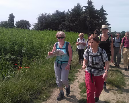 P_20180624_112204-01 le chanvre est en plein essor : litière, isolation, cosmétique,graines pour oiseaux, alimentation...