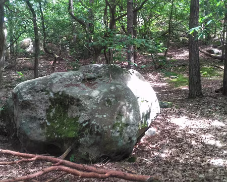 P_20180624_135014-01 Sud du massif grèseux de Fontainebleau