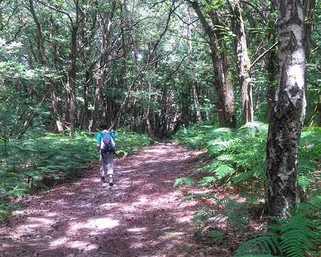 P_20180624_135103-01