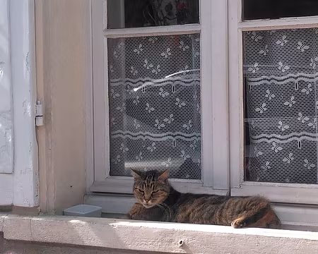 P_20180624_165334-01