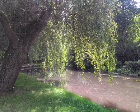 P_20180624_165610-01