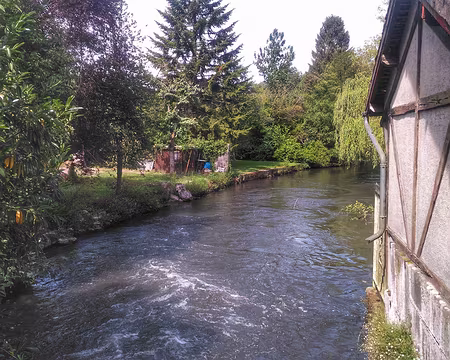 P_20180624_165752-01 la Juine