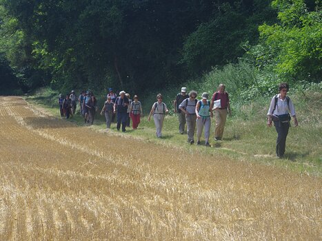 Olivier Olivier M, détail sortie