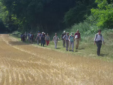 Olivier Olivier M, détail sortie