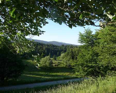 P1090058 Vue du Châlet de La Baumette