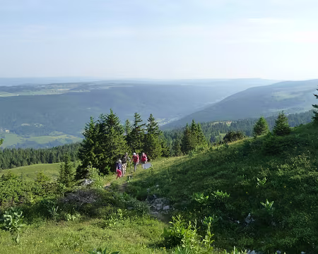 P1090080 Sur les chemins, la troupe progresse