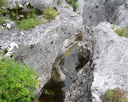 P1090119 Site des Pertes de la Valserine