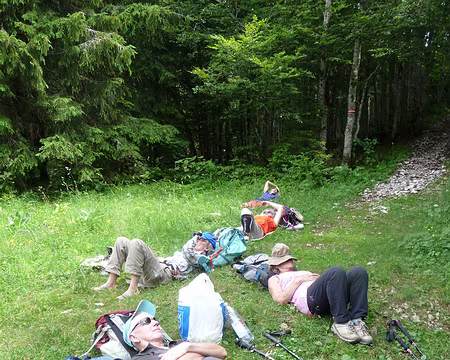 P1090133 et sieste, bien-sûr ...