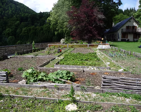 P1090142 Jardin botanique au châlet d'Arvières
