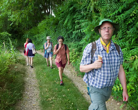 2018_06_29-16_08_44 Nourritures terrestres