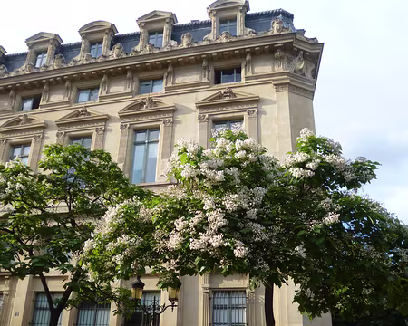 P1070632 Rue de Lutèce