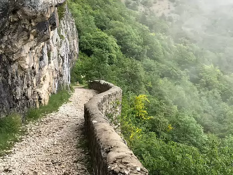 Yolande Yolande D, détail sortie