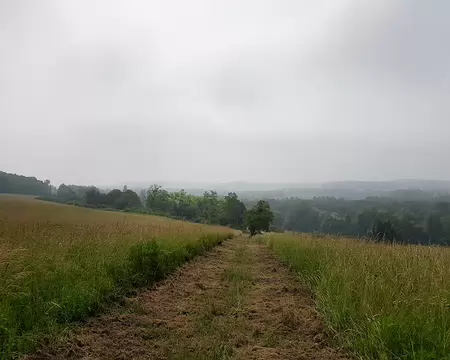 20180610_103615