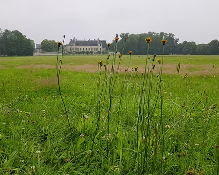 20180610_141009 Château de Villers-Cotterêts