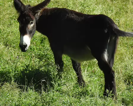 DSCN2228