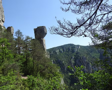DSCN2391 Dans les Gorges de la Jonte
