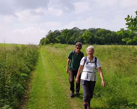 20180604_162122 Sur la chaussée Jules César