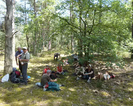 P1070842 pique-nique sur un lit de mousse.