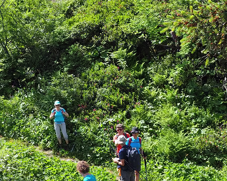 20180703-11h22m53s-P7030079-V3