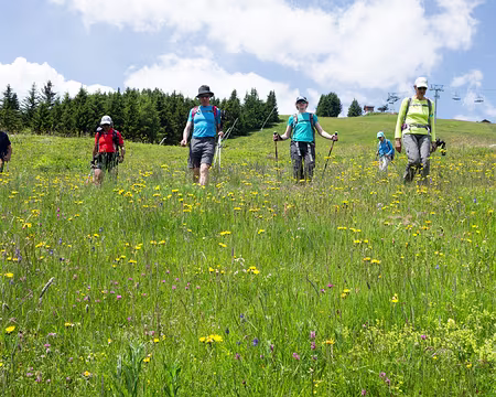20180703-13h41m58s-DSC07239-V3 Descente fleurie.