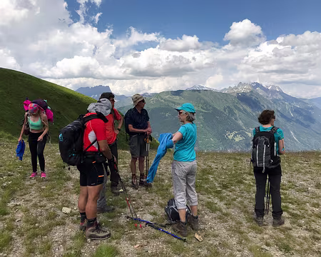 20180703-14h33m13s-P7030139-V3b Cherchez l'intruse