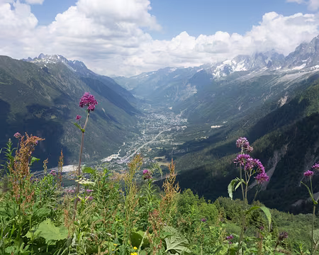 20180703-14h39m58s-DSC07253-V3