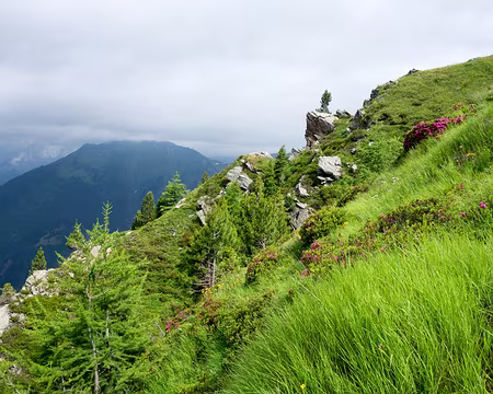 20180705-11h00m47s-DSC07334-V3