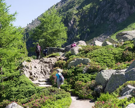 20180707-10h40m07s-P7070585-V3