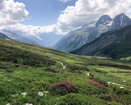 20180707-14h46m22s-IMG_1039-V3