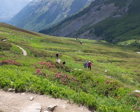 20180707-14h49m31s-P7070621-V3