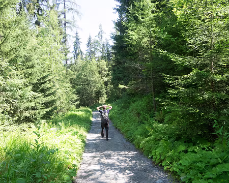 20180708-11h46m24s-P7080704-V3 Au revoir !