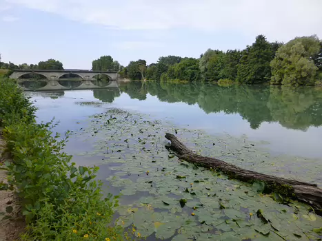 2018-07 Marne en boucle