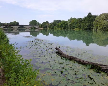 P1080002 La Marne à Trilport