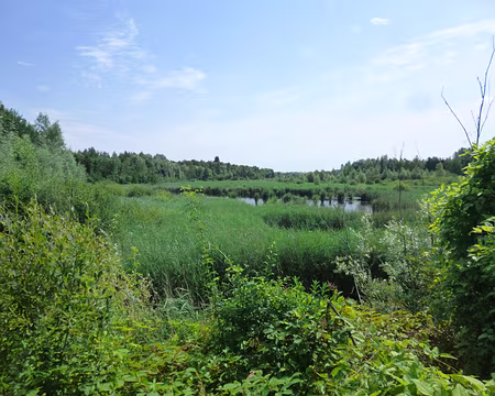 P1080013 Réserve naturelle du Grand-Voyeux...