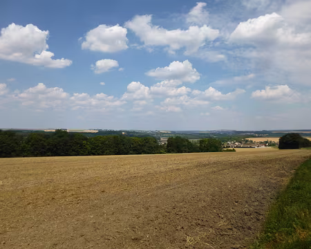 P1080019 Campagne briarde