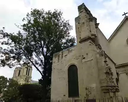 P1070884 Eglise St-Julien-le-Pauvre et le robinier, l'arbre le plus vieux de Paris