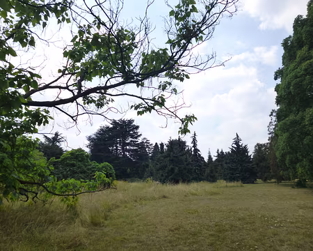 P1080089 D'une superficie de 12 ha, il compte près de 1 400 arbres.