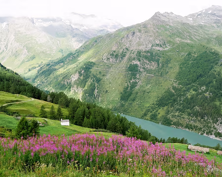 20180809-10h01m11s-P1100844-V3