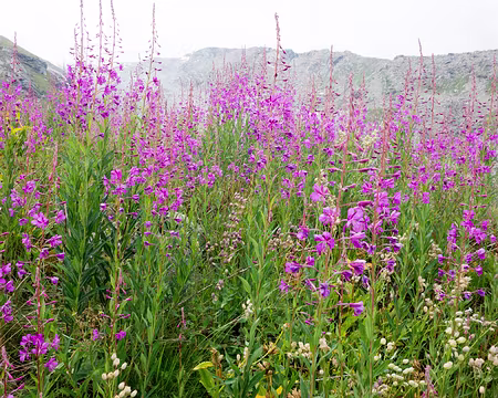 20180809-11h37m50s-DSC08332-V3