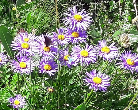 20180810-15h11m05s-20180817_135336-V3