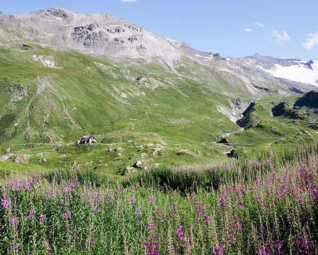 20180810-17h05m25s-P1100929-V3